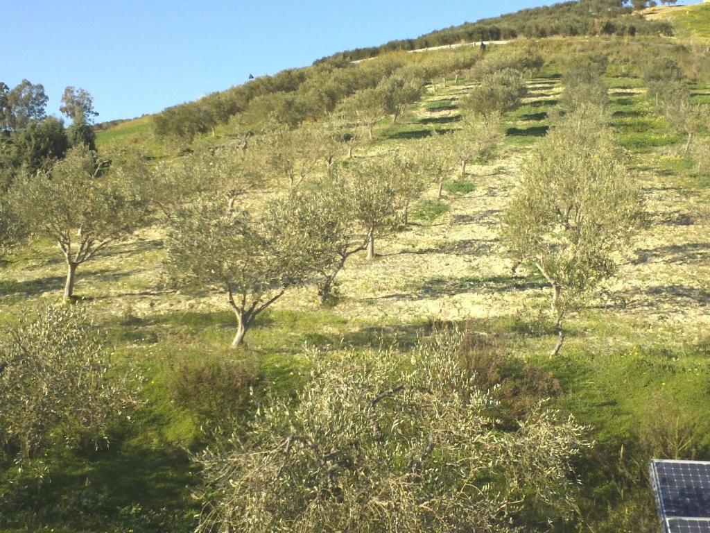 Agriturismo Due Ganee Villa Agrigento Eksteriør billede